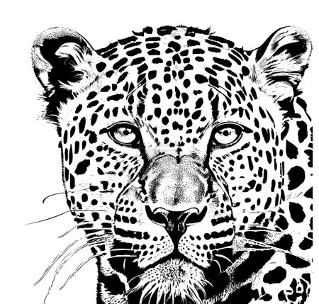 Ilustración de Retrato de leopardo cabeza de leopardo bosquejo dibujado a mano estilo grabado Animales salvajes Vector ilustración - Imagen libre de derechos