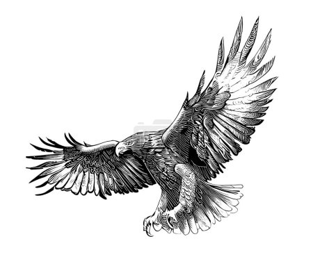 Téléchargez les illustrations : Eagle with spread wings sketch, hand drawn in doodle style Vector illustration - en licence libre de droit