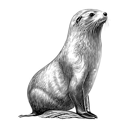 Téléchargez les illustrations : Fur seal lion hand drawn sketch Underwater world Vector illustration. - en licence libre de droit