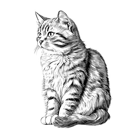 Téléchargez les illustrations : Cute domestic cat hand drawn sketch Pets Vector illustration - en licence libre de droit