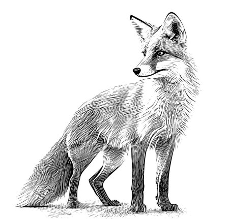Téléchargez les illustrations : Wild fox animal hand drawn sketch Vector illustration - en licence libre de droit