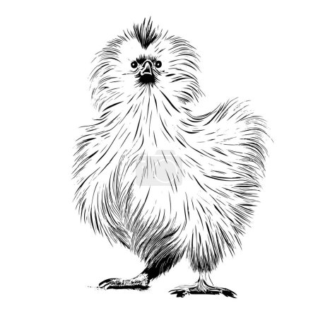Ilustración de Chinese funny silk hen hand drawn sketch Vector illustration - Imagen libre de derechos