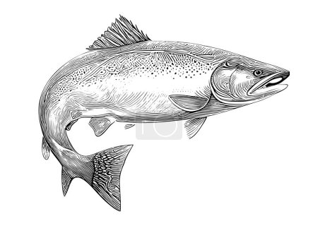 Illustration for Salmon fish sketch hand drawn line art Vector illustration. - Royalty Free Image