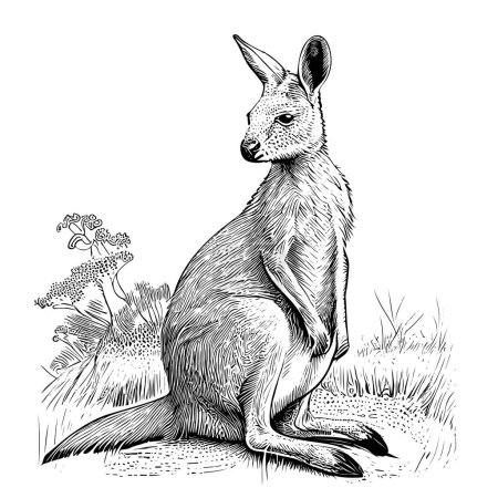 Illustration for Kangaroo hand drawn sketch illustration - Royalty Free Image