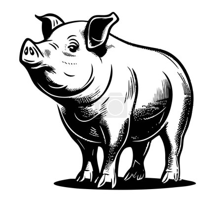 Pig farm hand drawn sketch Vector illustration