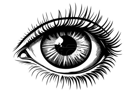 Illustration for Human eye isolated on white background hand drawn sketch Vector - Royalty Free Image