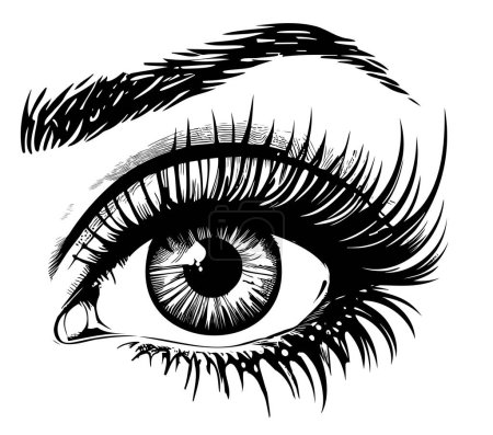 Illustration for Woman eye isolated on white background hand drawn sketch Vector - Royalty Free Image