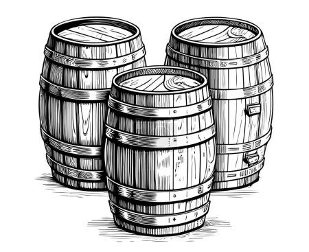 Illustration for Wooden barrels three hand drawn sketch illustration, Winemaking - Royalty Free Image