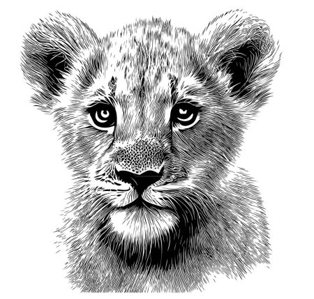 Little lion cub head hand drawn sketch illustration, Wild animals