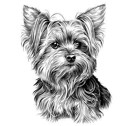 Ilustración de Yorkshire terrier perro dibujado a mano dibujo ilustración - Imagen libre de derechos