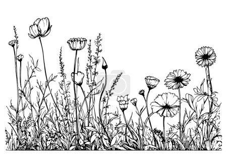 Ilustración de Campo de flores silvestres bosquejo dibujado a mano en estilo garabato ilustración - Imagen libre de derechos