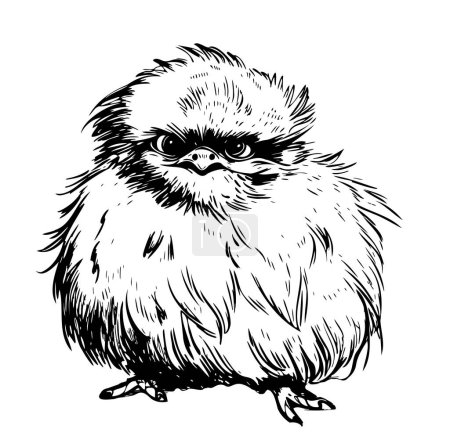 Illustration for Silkie hen sketch hand drawn in doodle style illustration - Royalty Free Image