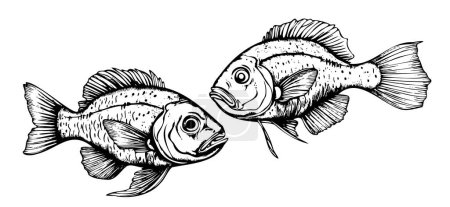 Ilustración de Par de boceto de pescado dibujado a mano Vector ilustración Sea food - Imagen libre de derechos