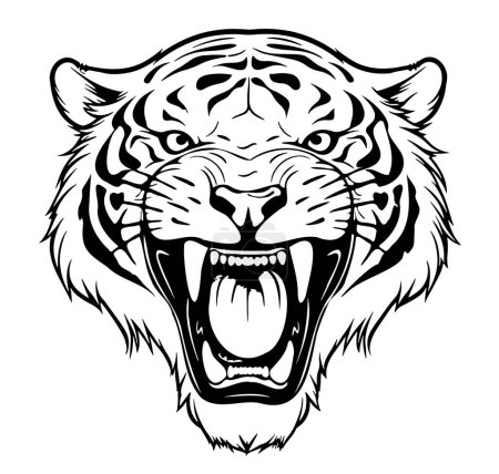 Téléchargez les illustrations : Tête de tigre en colère dessin à la main illustration Animaux sauvages - en licence libre de droit