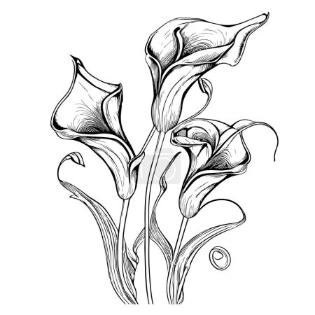 Calla lily flower hand drawn sketch in doodle style illustration
