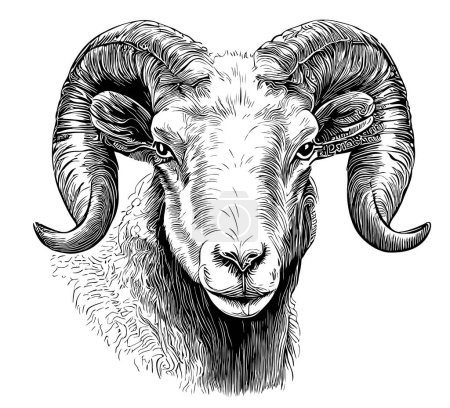 Ram face sketch hand drawn in doodle style illustration