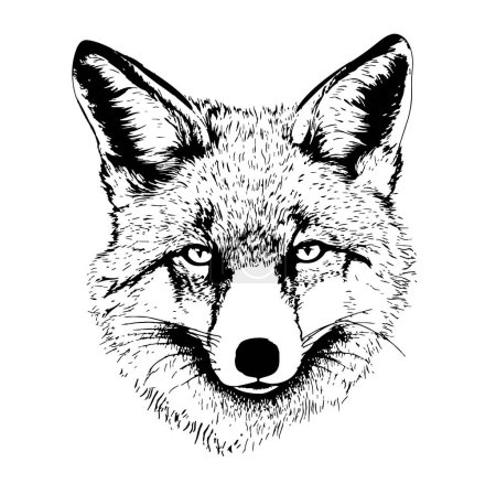 Téléchargez les illustrations : Croquis de tête de renard sauvage dessiné à la main dans une illustration de style doodle - en licence libre de droit