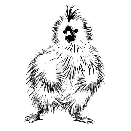 Ilustración de Divertido esbozo de gallina de seda dibujado a mano en estilo garabato - Imagen libre de derechos
