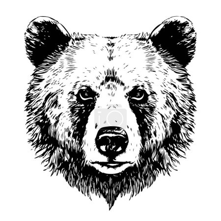 Illustration for Bear head sketch hand drawn in doodle style illustration - Royalty Free Image