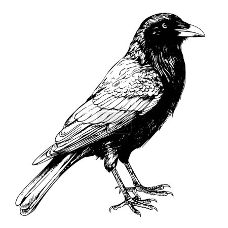 Téléchargez les illustrations : Croquis de corbeau noir dessiné à la main dans une illustration de style doodle Dessin animé - en licence libre de droit