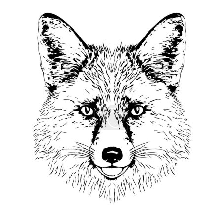 Téléchargez les illustrations : Tête de renard sauvage croquis dessiné à la main dans une illustration de style doodle - en licence libre de droit