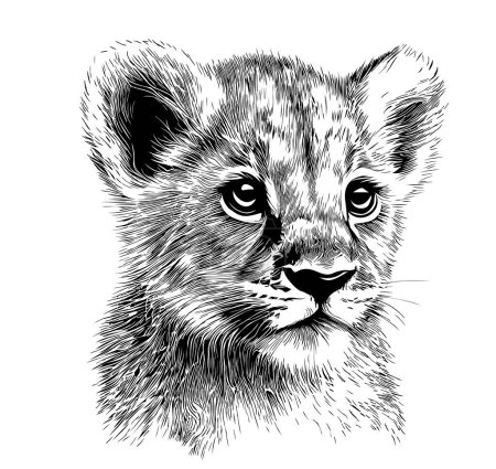 Téléchargez les illustrations : Lion ourson croquis dessiné à la main dans un style doodle illustration - en licence libre de droit