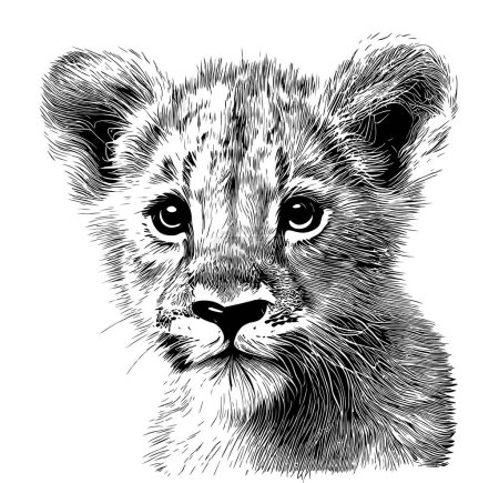 Little Lion cub face hand drawn sketch in doodle style illustration