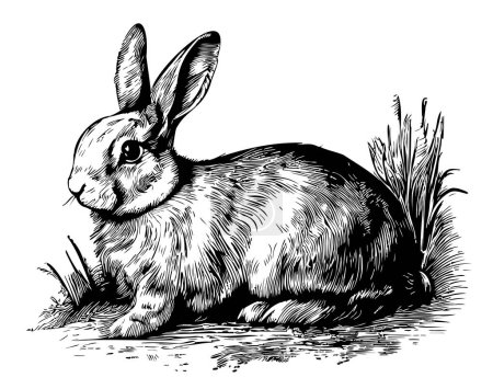 Ilustración de Conejo de conejo sentado en el bosquejo de hierba dibujado en estilo garabato ilustración - Imagen libre de derechos