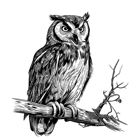 Owl bird on a branch sketch hand drawn in doodle style illustration