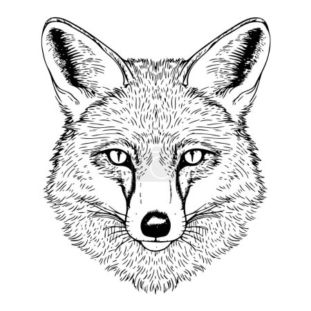 Téléchargez les illustrations : Magnifique portrait de renard dessin à la main illustration - en licence libre de droit