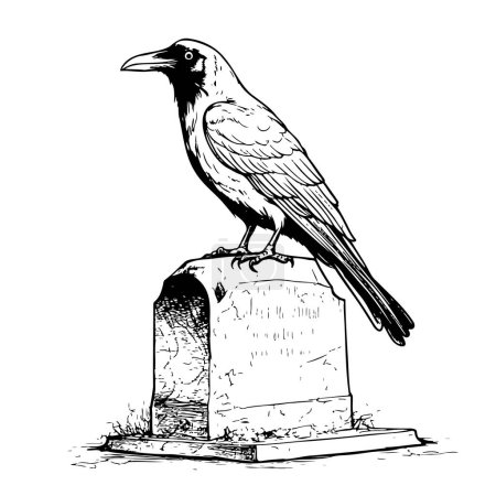 Illustration for Raven bird sitting on the grave hand drawn sketch Vector illustration - Royalty Free Image