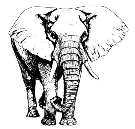 Illustration pour Gros éléphant marchant croquis dessiné à la main vectoriel - image libre de droit