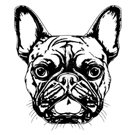Ilustración de Bulldog francés cabeza de perro bosquejo dibujado a mano Vector ilustración - Imagen libre de derechos