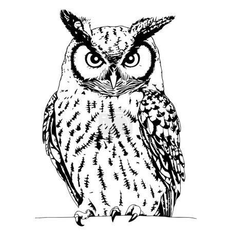 Téléchargez les illustrations : Hibou oiseau sauvage croquis dessiné à la main vecteur - en licence libre de droit