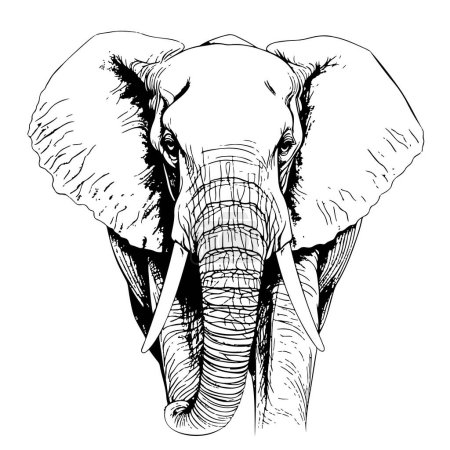 Téléchargez les illustrations : Éléphant marchant croquis dessiné à la main Illustration vectorielle Animaux sauvages - en licence libre de droit