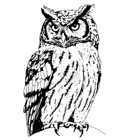 Búho pájaro salvaje sentado boceto dibujado a mano en estilo garabato Vector