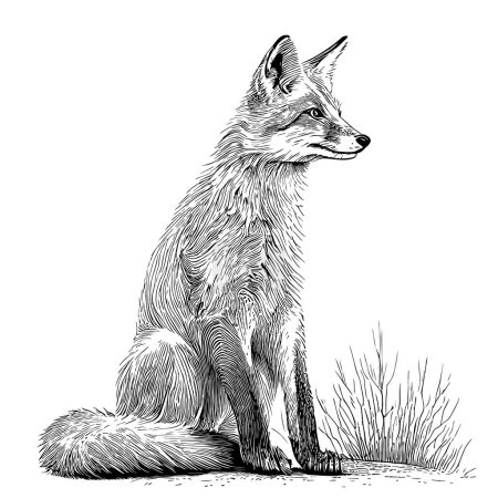 Téléchargez les illustrations : Belle croquis renard dessiné à la main Illustration vectorielle Animaux sauvages - en licence libre de droit