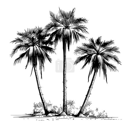 Ilustración de Tres palmeras en trazos ilustración dibujada a mano. - Imagen libre de derechos