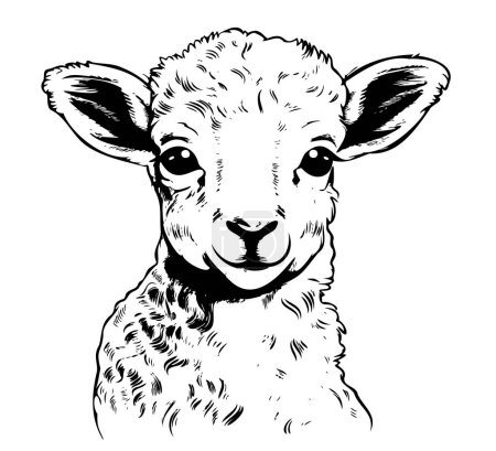 Téléchargez les illustrations : Ferme agneau mignon croquis dessiné à la main Animaux vecteurs - en licence libre de droit