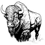 buffalo portrait logo sketch hand drawn Vector