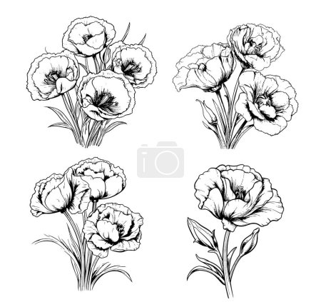 Illustration for Eustoma bouquet sketch hand drawn in comic style.Vector Garden flowers - Royalty Free Image