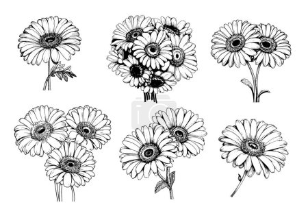Téléchargez les illustrations : Gerbera bouquet esquisse dessinée à la main dans un style comique. - en licence libre de droit