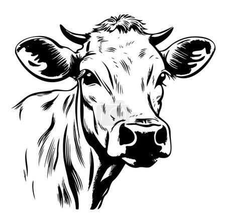 Téléchargez les illustrations : Ferme jeune vache croquis animal dessin à la main illustration Dessin animé - en licence libre de droit