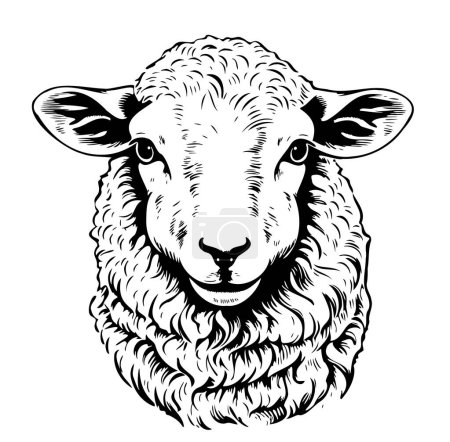 Téléchargez les illustrations : Ferme mignonne petite tête d'agneau dessin à la main croquis animaux d'illustration - en licence libre de droit