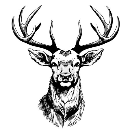 Illustration for Wild deer face sketch hand drawn sketch Vector - Royalty Free Image