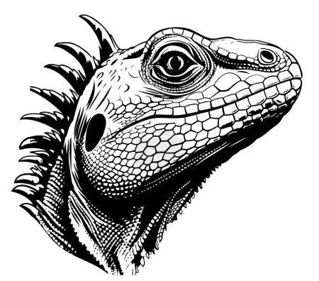 Lizard reptile sketch hand drawn Vector illustration Animals