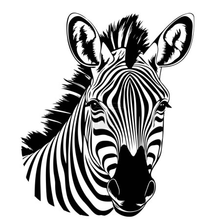 Téléchargez les illustrations : Croquis Visage Zèbre Dessiné à la main Graphic Safari Animals Vector - en licence libre de droit