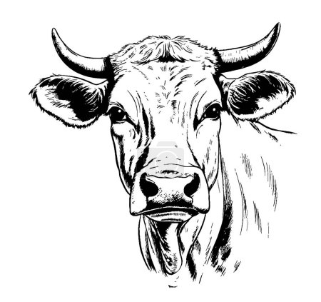 Téléchargez les illustrations : Vache croquis animal dessiné à la main Image de bande dessinée vectorielle Agriculture - en licence libre de droit