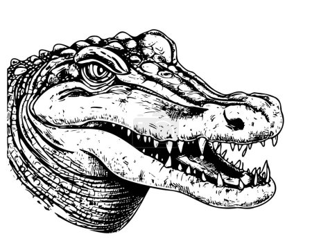 Téléchargez les illustrations : Crocodile sauvage croquis du visage croquis dessiné à la main vecteur - en licence libre de droit