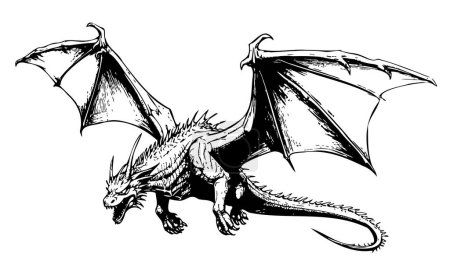 Illustration for Dragon attacker, cartoon hand drawn sketch illustration Wild animals - Royalty Free Image